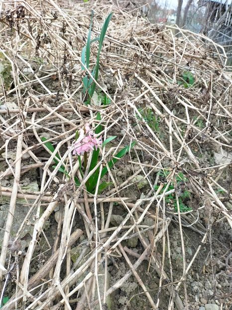 IMG20230321083656 - Martie 2023