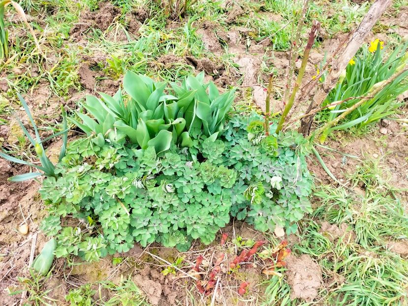 IMG20230321114527 - Martie 2023