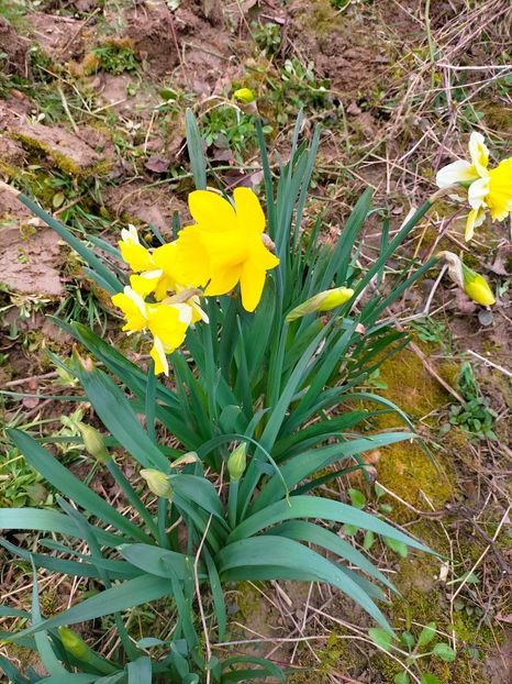 IMG20230321114452 - Martie 2023