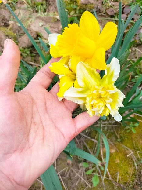 IMG20230321114444 - Martie 2023