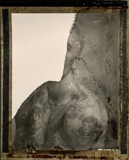 Parnassian-born and human-bred. - Collection of Tintypes