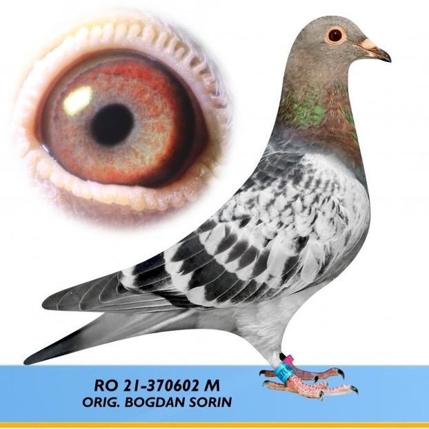 Kleine Jill (2) - Cpl 0