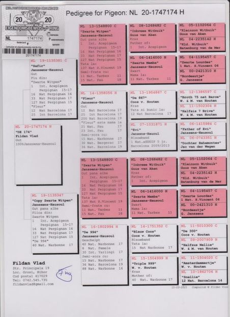 NL 1747174 -20 F - Cpl 6