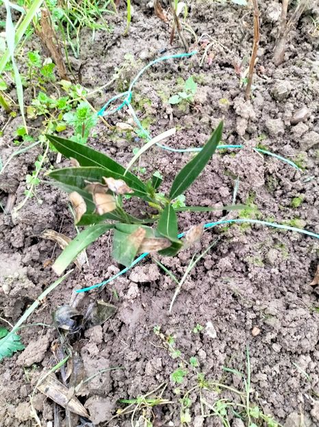 IMG20230322150628 - Martie 2023