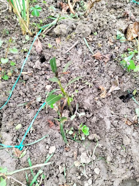 IMG20230322150623 - Martie 2023