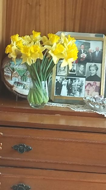 1b499f52-1844-4975-b5b9-c2b9a8f5420f - 2023 MARTIE Florile mele frumoase