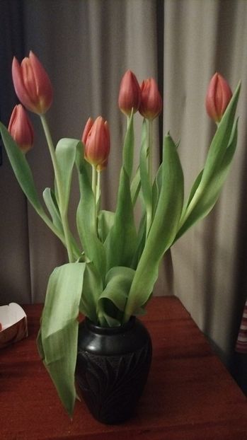 d2842ffc-789a-404e-8f74-0d1723773cd4 - 2023 MARTIE Florile mele frumoase