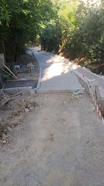 8612bed4-cd39-4577-9931-f3262101006a - 2023 Str IOAN IACOB