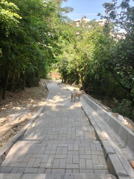 a680ee03-47bf-45de-a189-1080d433eaec - 2023 Str IOAN IACOB