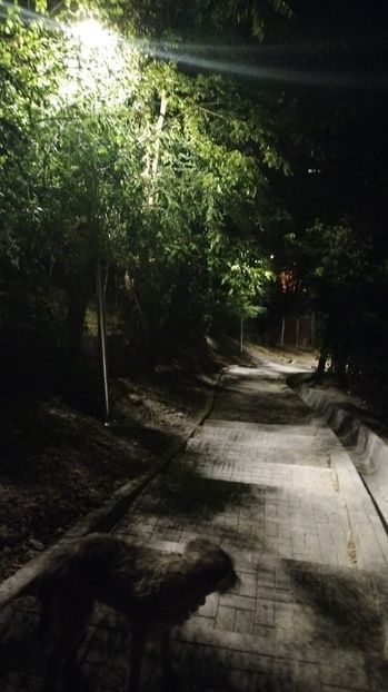 be209054-fbbc-4b7f-89ae-12ddd2b60d21 - 2023 Str IOAN IACOB