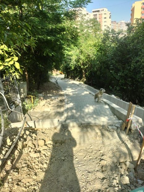 fb1fc9ba-23c7-4dfc-908d-25a55bb8bed8 - 2023 Str IOAN IACOB