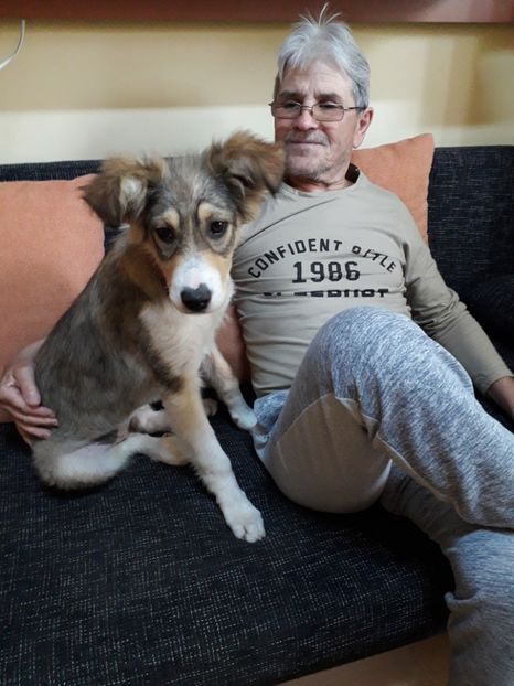  - Blanite care miauna si latra