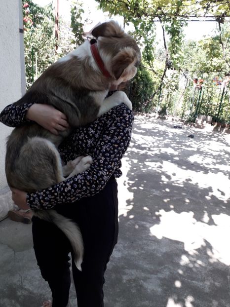  - Blanite care miauna si latra