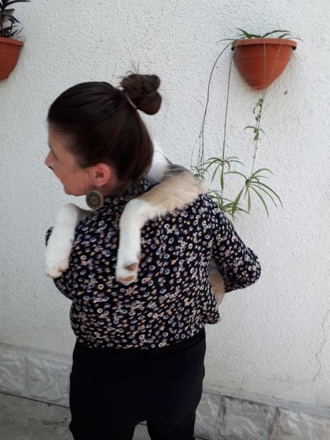  - Blanite care miauna si latra