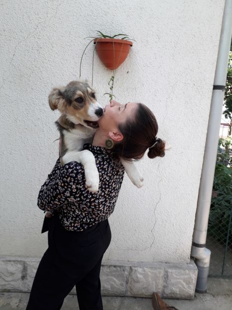  - Blanite care miauna si latra