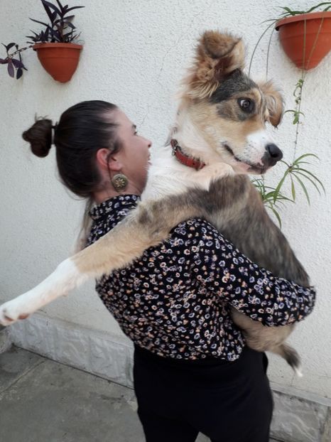  - Blanite care miauna si latra