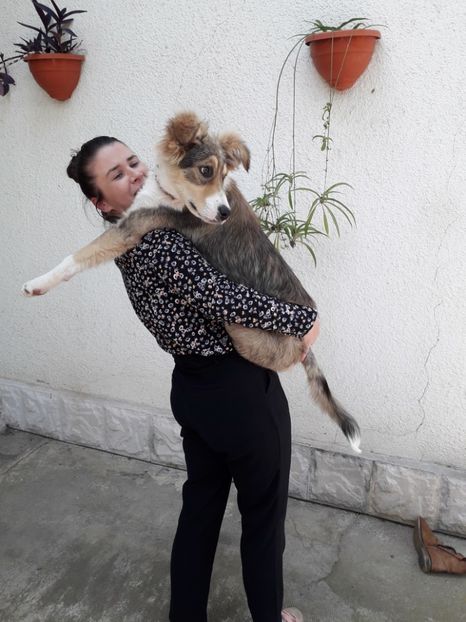  - Blanite care miauna si latra