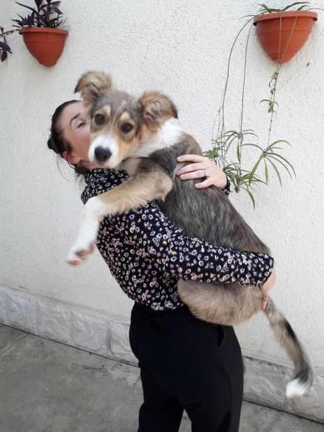  - Blanite care miauna si latra
