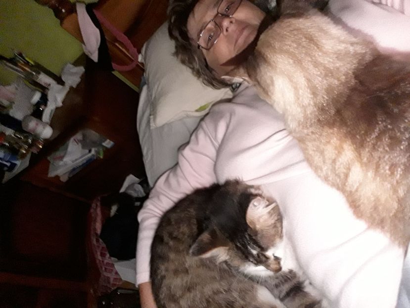  - Blanite care miauna si latra