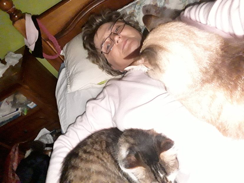  - Blanite care miauna si latra