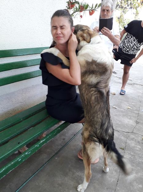  - Blanite care miauna si latra