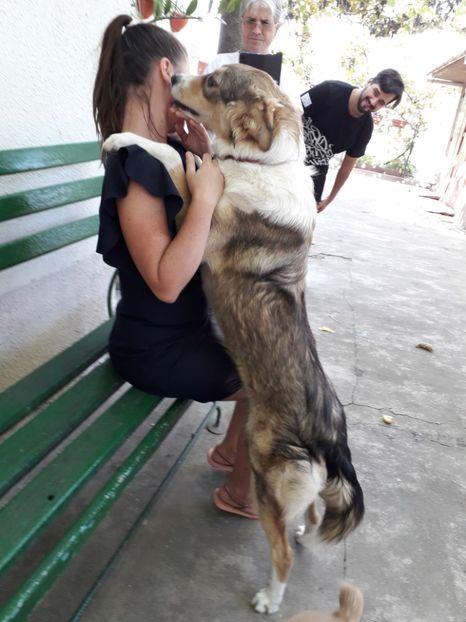  - Blanite care miauna si latra
