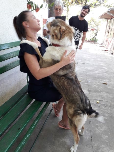  - Blanite care miauna si latra