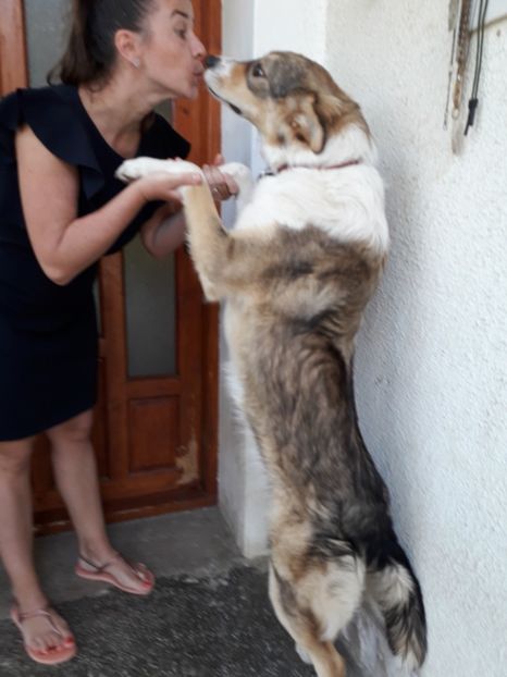  - Blanite care miauna si latra
