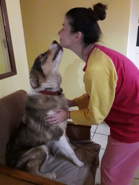  - Blanite care miauna si latra