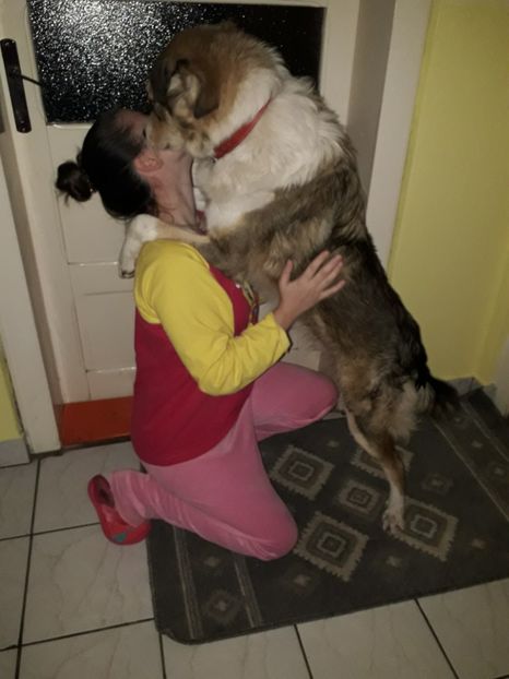  - Blanite care miauna si latra