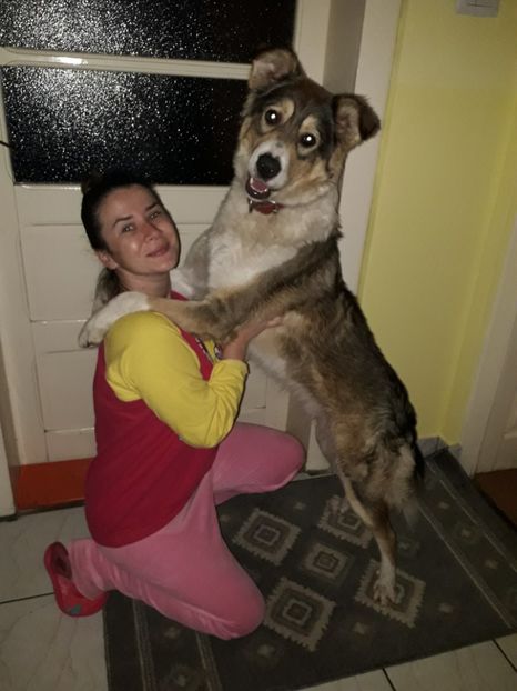  - Blanite care miauna si latra