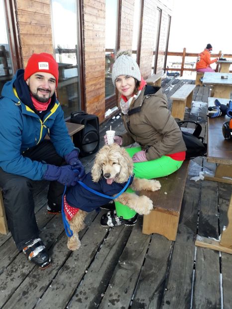  - Blanite care miauna si latra