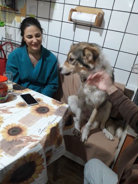  - Blanite care miauna si latra