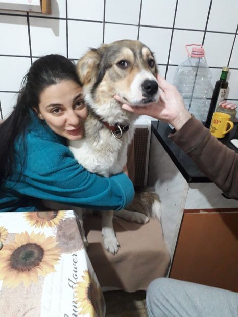  - Blanite care miauna si latra
