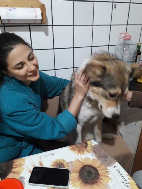  - Blanite care miauna si latra