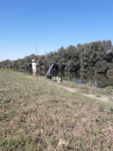  - Blanite care miauna si latra