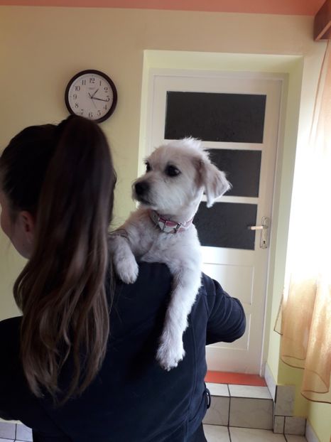  - Blanite care miauna si latra