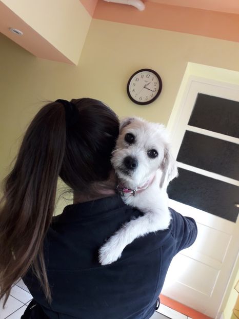  - Blanite care miauna si latra