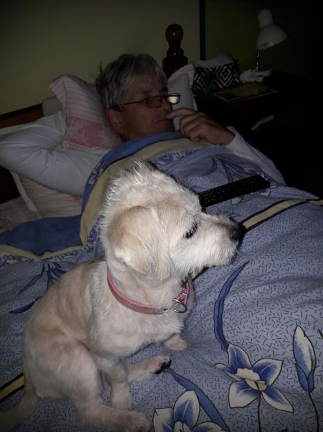 - Blanite care miauna si latra