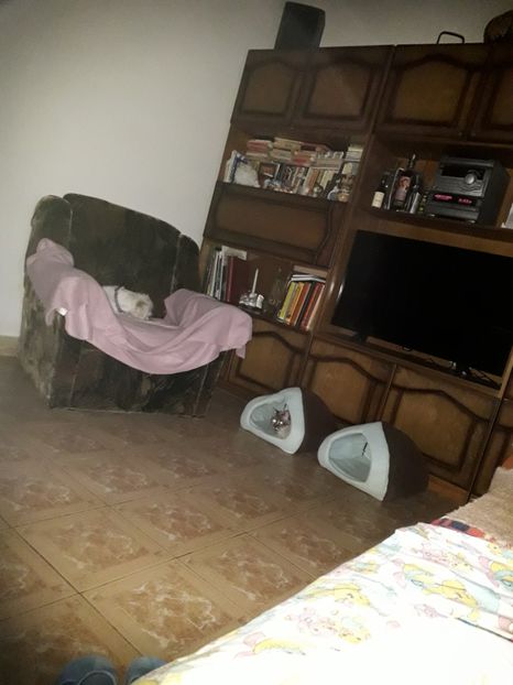  - Blanite care miauna si latra