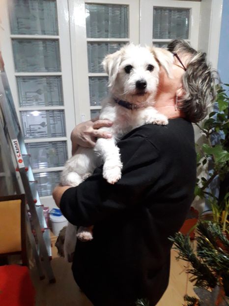  - Blanite care miauna si latra