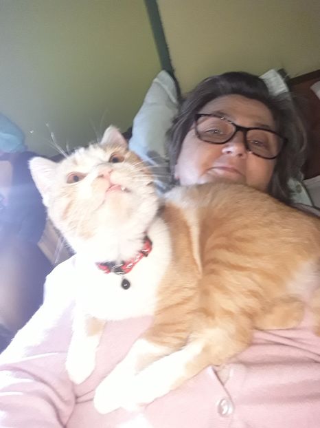  - Blanite care miauna si latra continuare