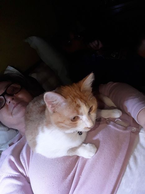  - Blanite care miauna si latra continuare