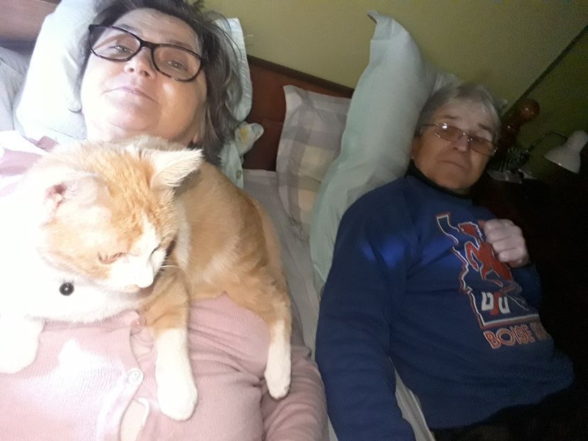  - Blanite care miauna si latra continuare