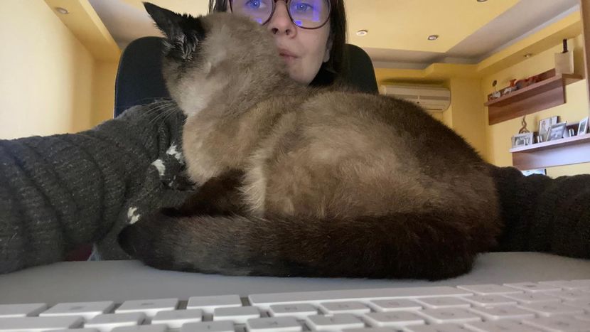 IMG-20220204-WA0014 - Blanite care miauna si latra continuare