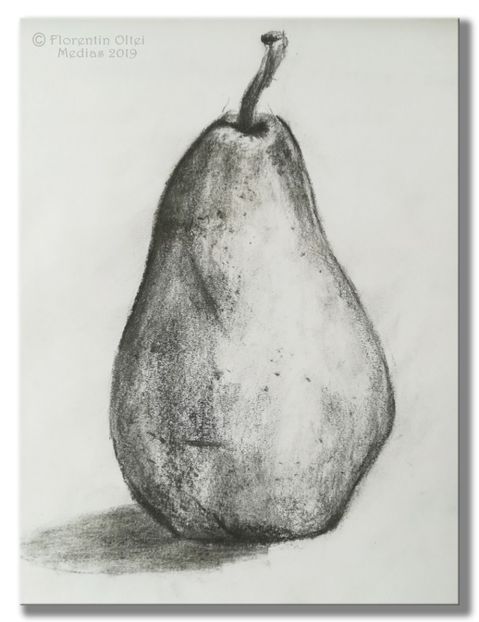 pears - Pencil Drawings