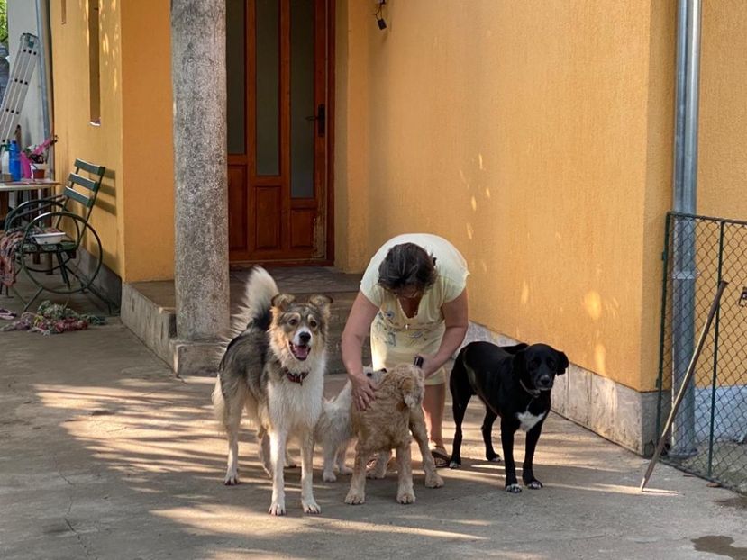 IMG-20220819-WA0005 - Blanite care miauna si latra continuare