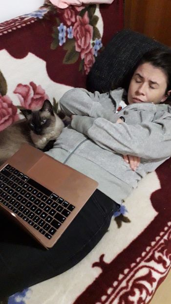 IMG-20221017-WA0010 - Blanite care miauna si latra continuare