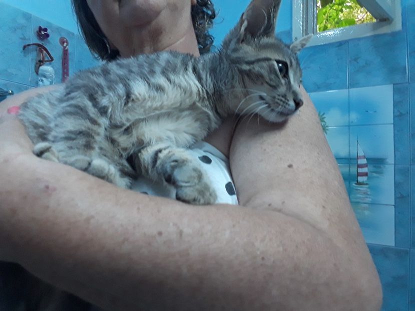  - Blanite care miauna si latra continuare