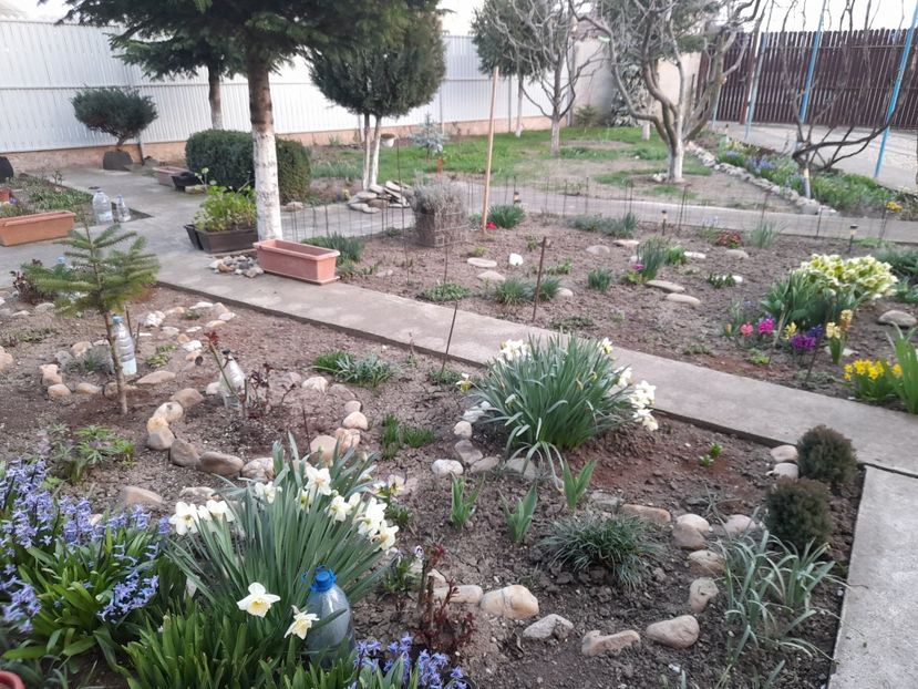  - 1 Bucurii nemuritoare 2023